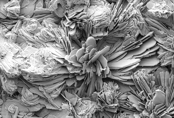 SEM-Image of an additive surface (BONIT®)